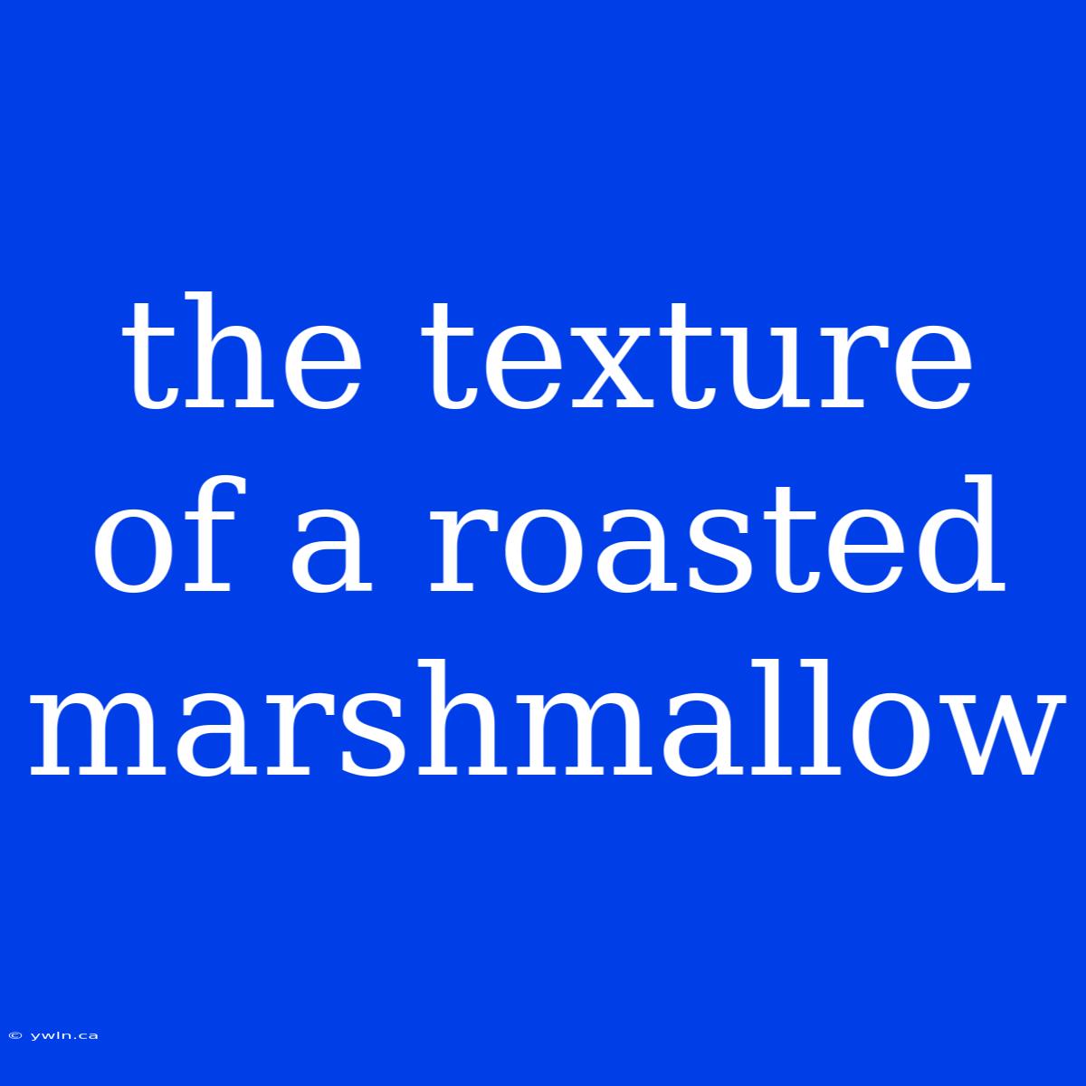 The Texture Of A Roasted Marshmallow