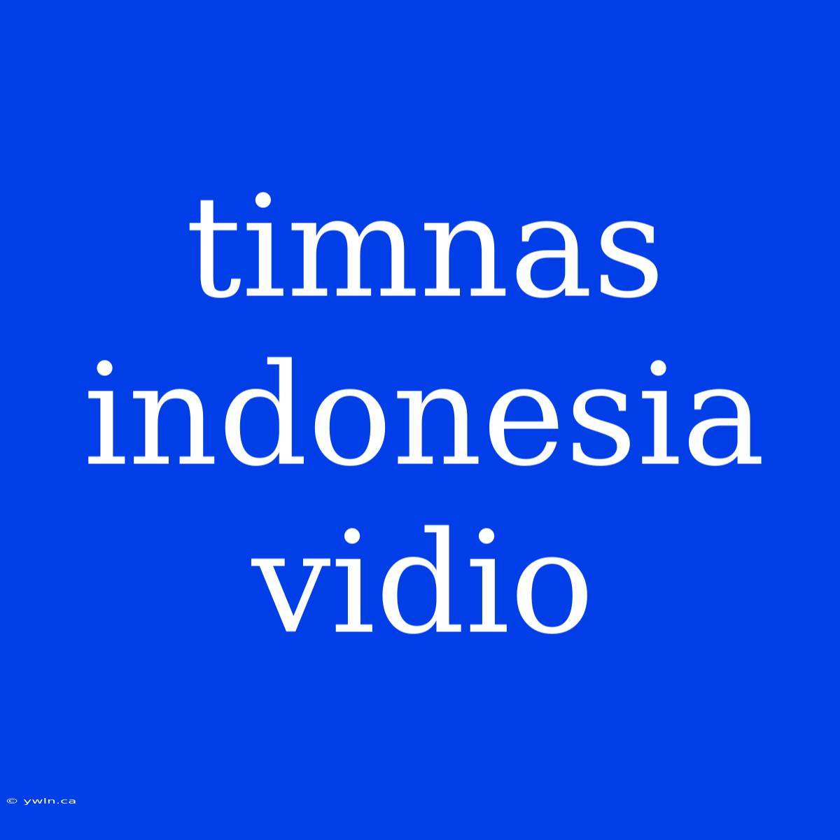 Timnas Indonesia Vidio