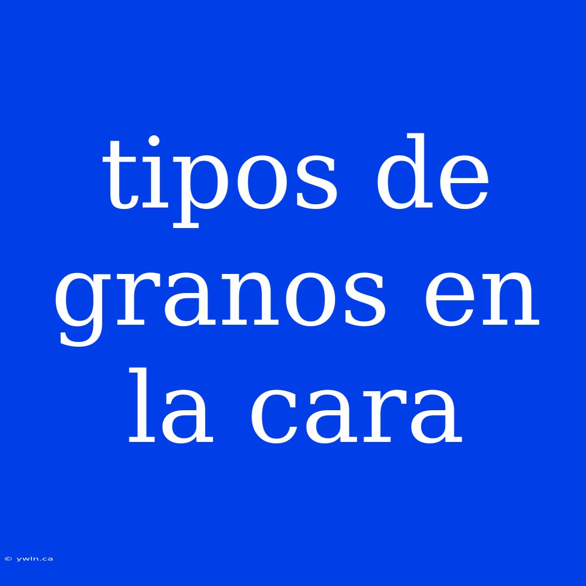 Tipos De Granos En La Cara