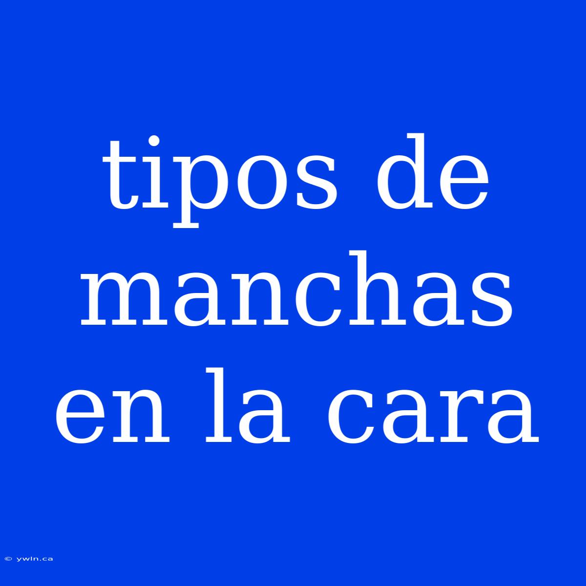 Tipos De Manchas En La Cara