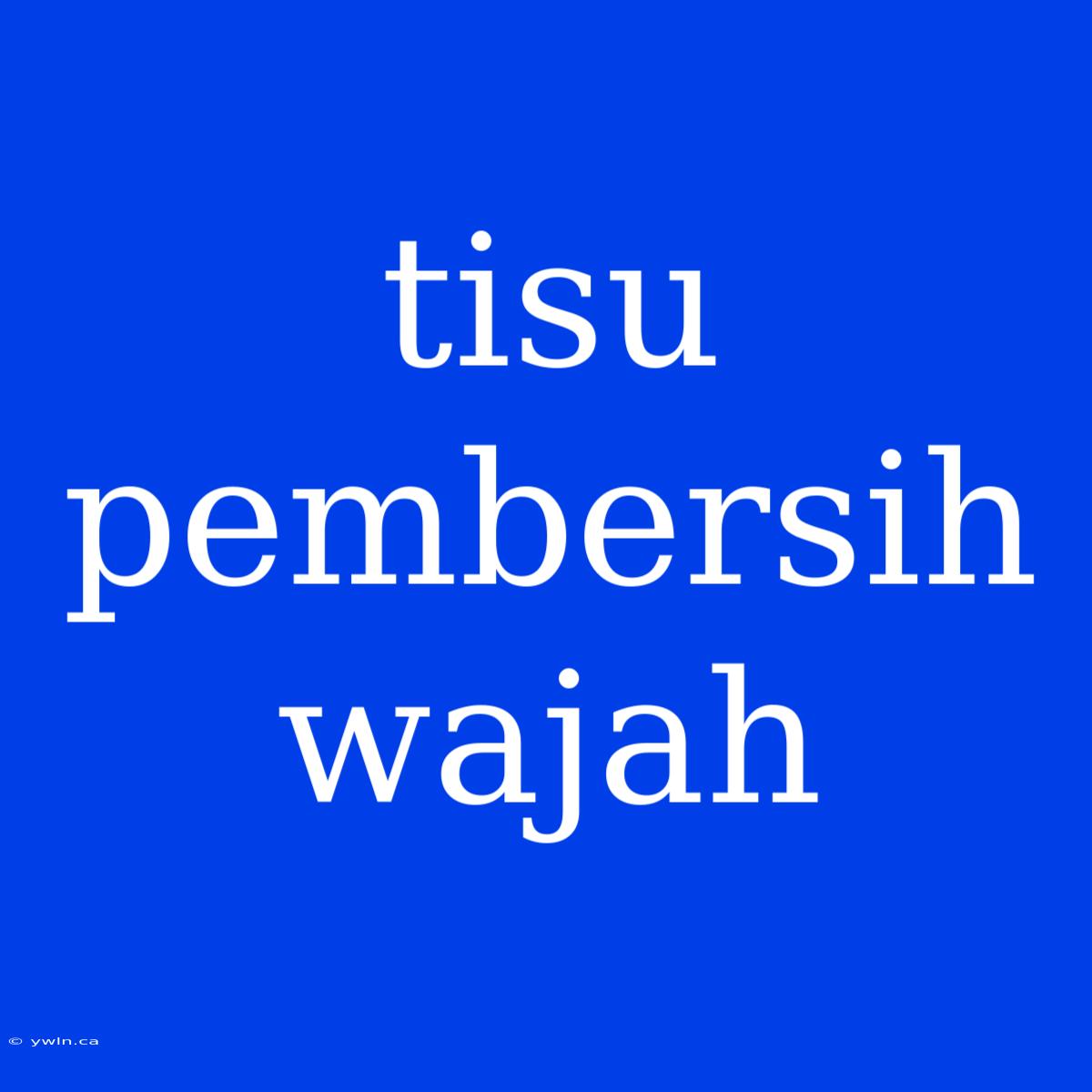 Tisu Pembersih Wajah