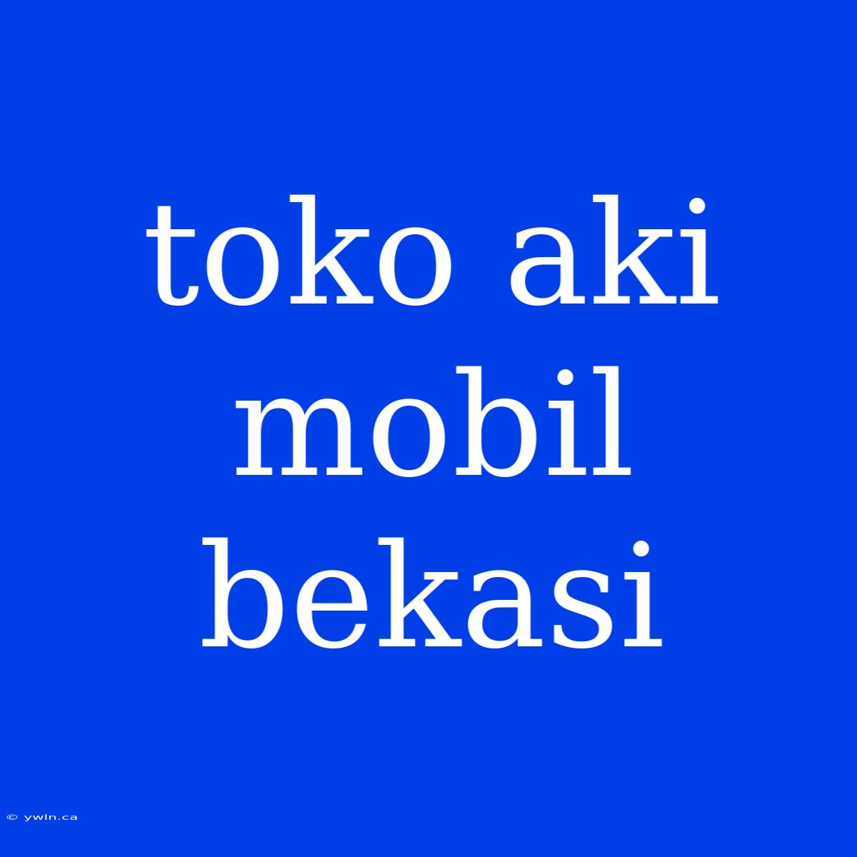 Toko Aki Mobil Bekasi