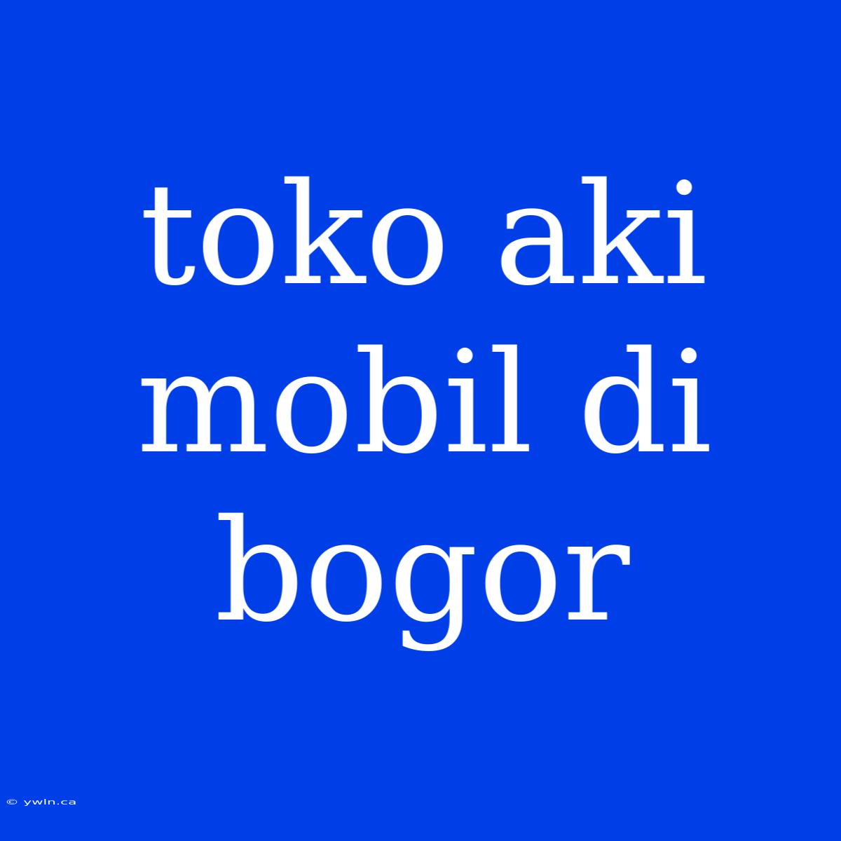 Toko Aki Mobil Di Bogor