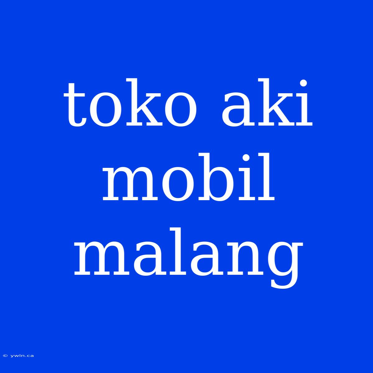 Toko Aki Mobil Malang