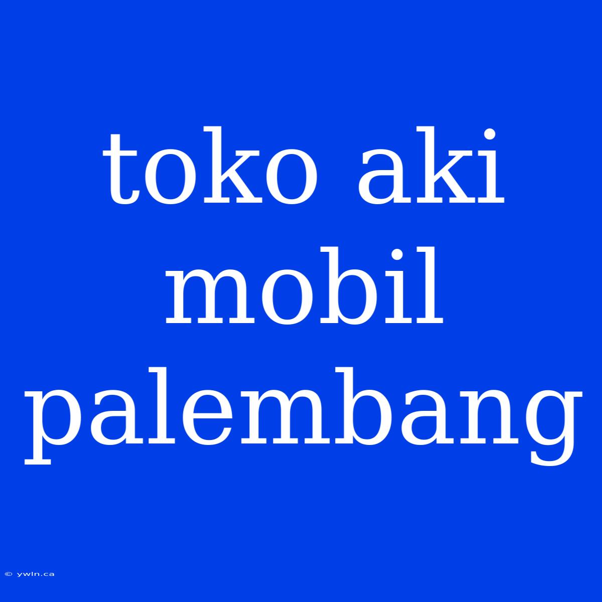 Toko Aki Mobil Palembang