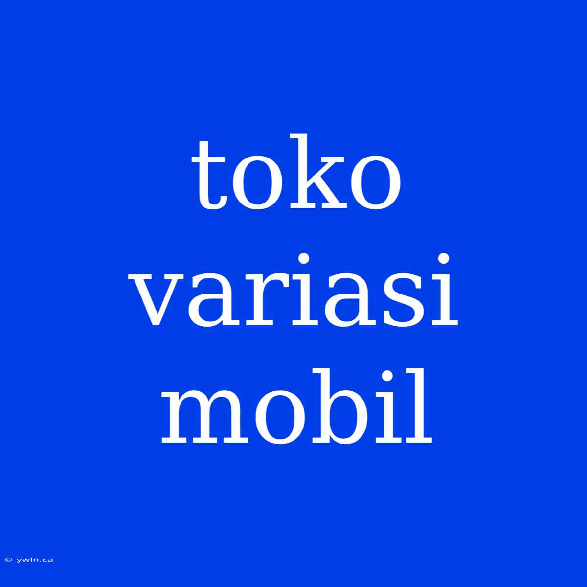 Toko Variasi Mobil