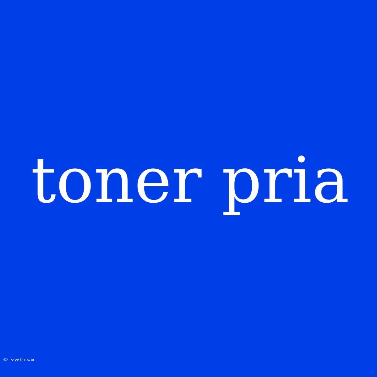 Toner Pria