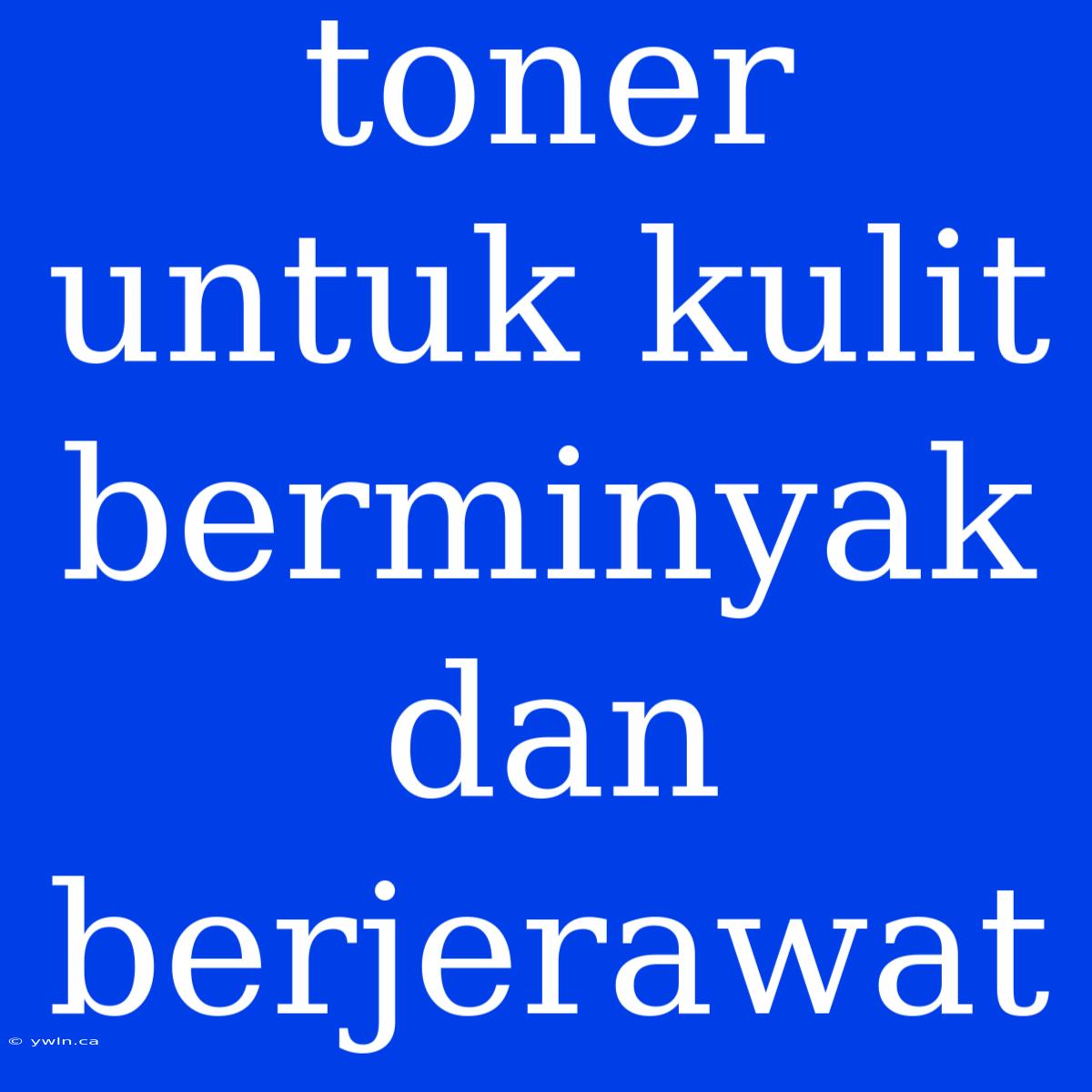 Toner Untuk Kulit Berminyak Dan Berjerawat