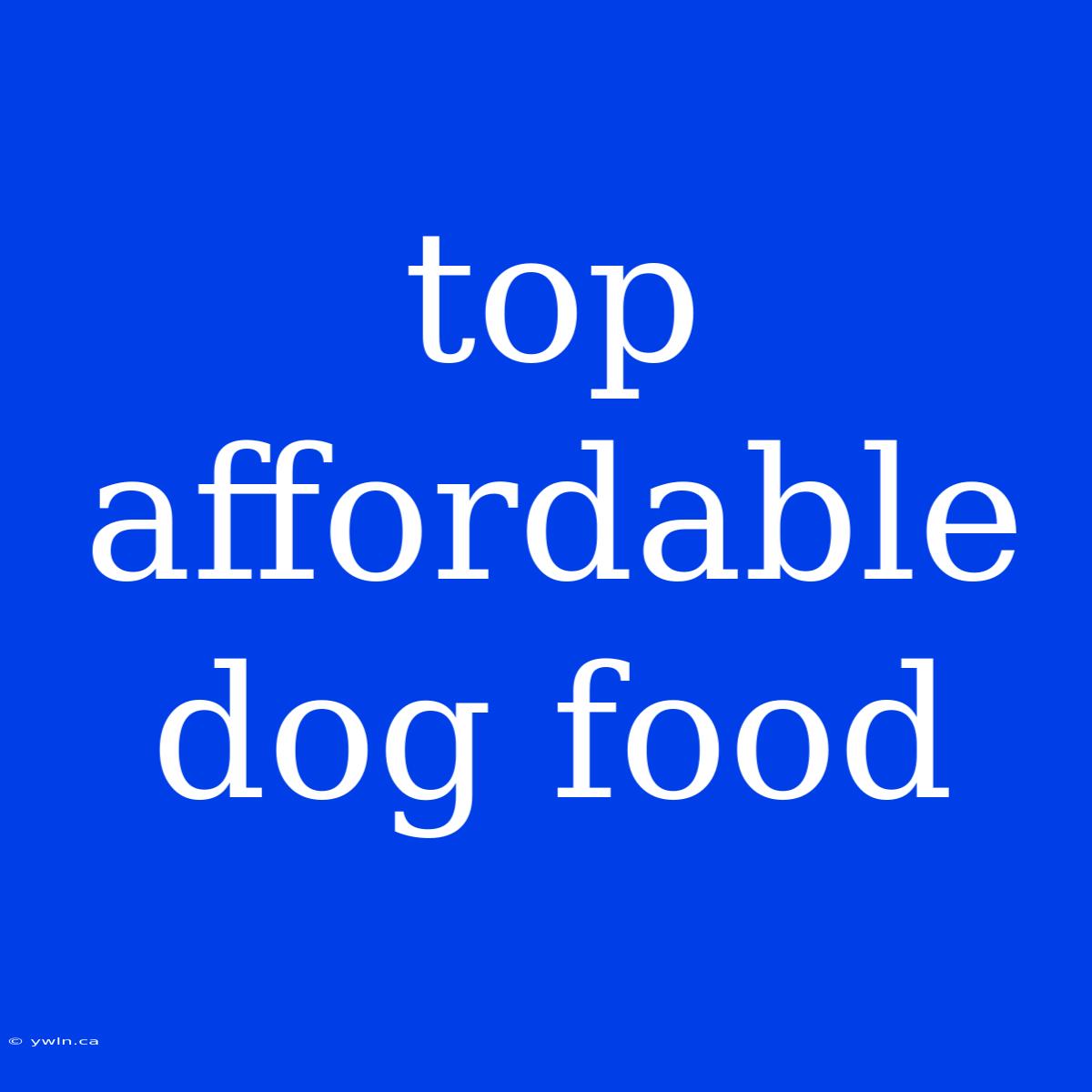 Top Affordable Dog Food