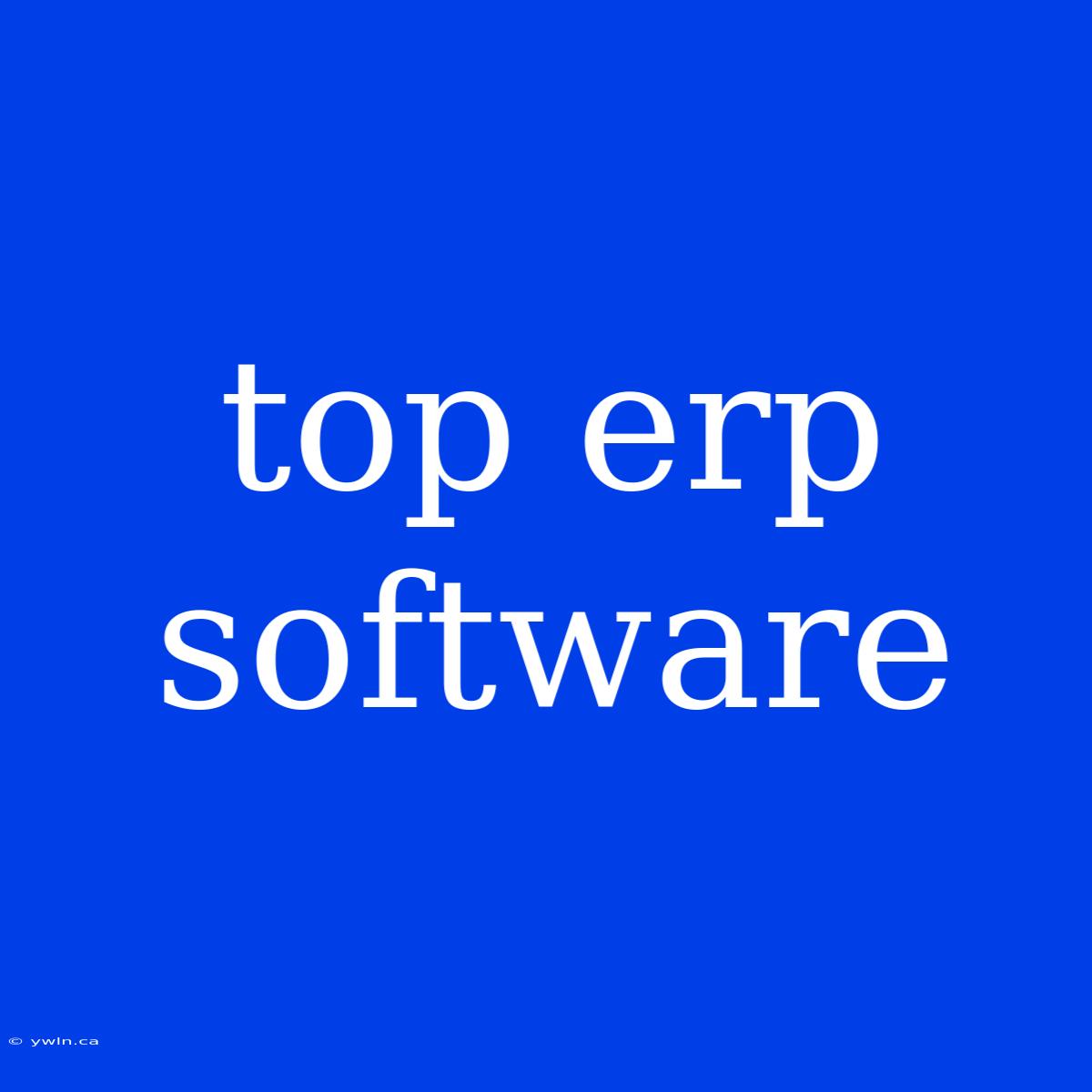 Top Erp Software