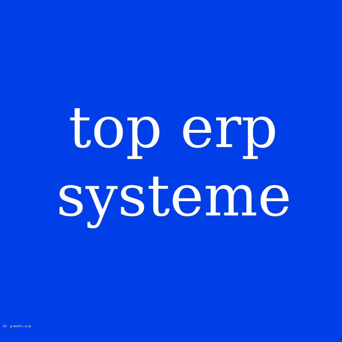 Top Erp Systeme