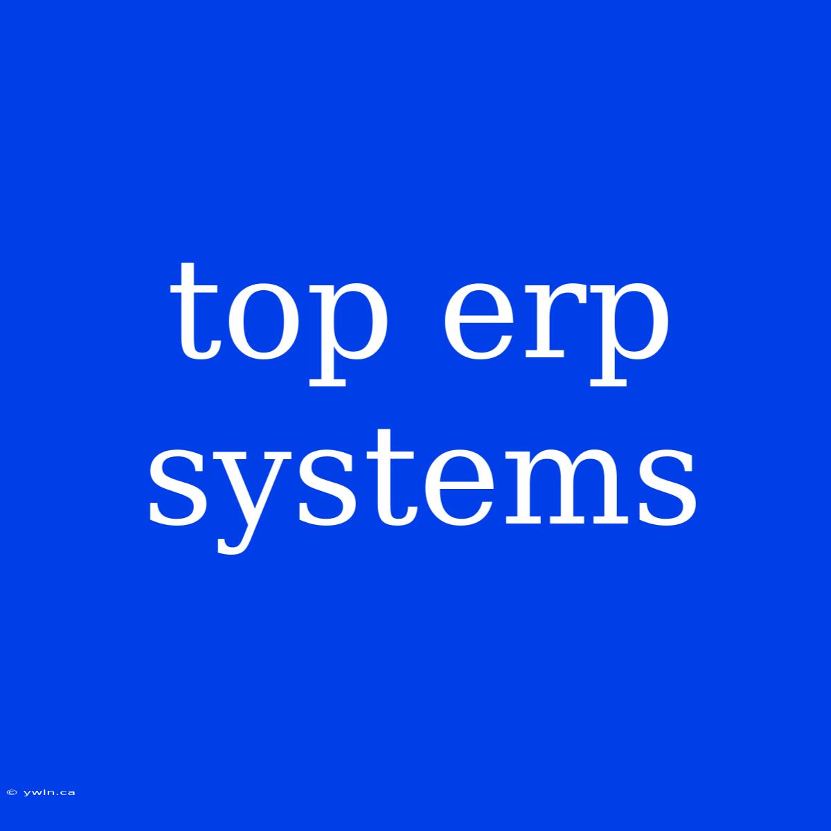 Top Erp Systems