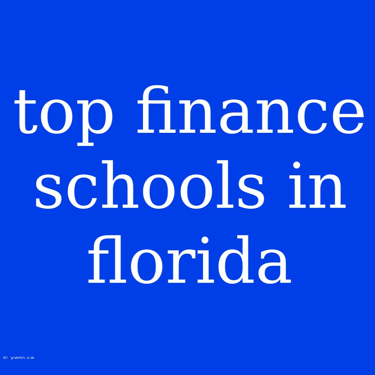 Top Finance Schools In Florida