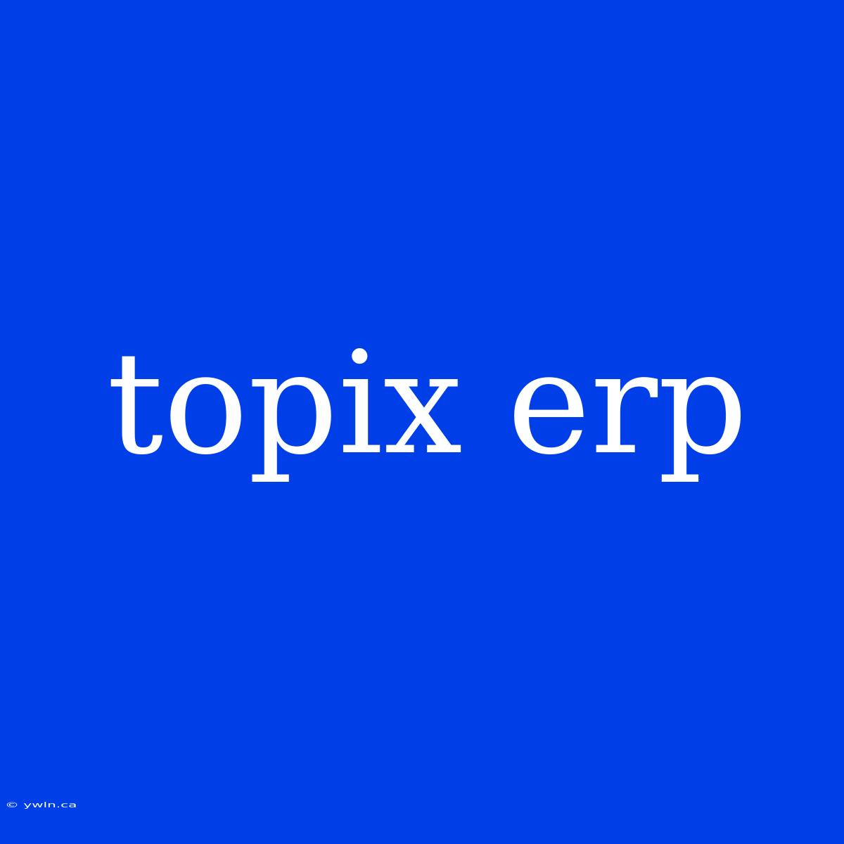 Topix Erp