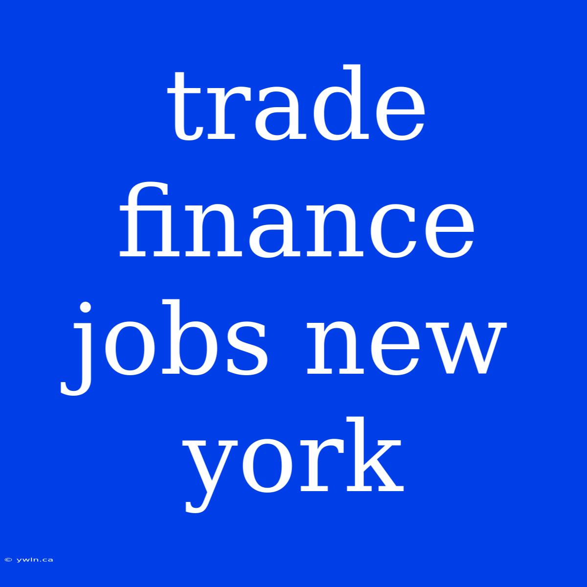 Trade Finance Jobs New York