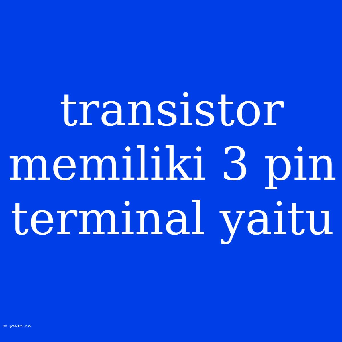 Transistor Memiliki 3 Pin Terminal Yaitu