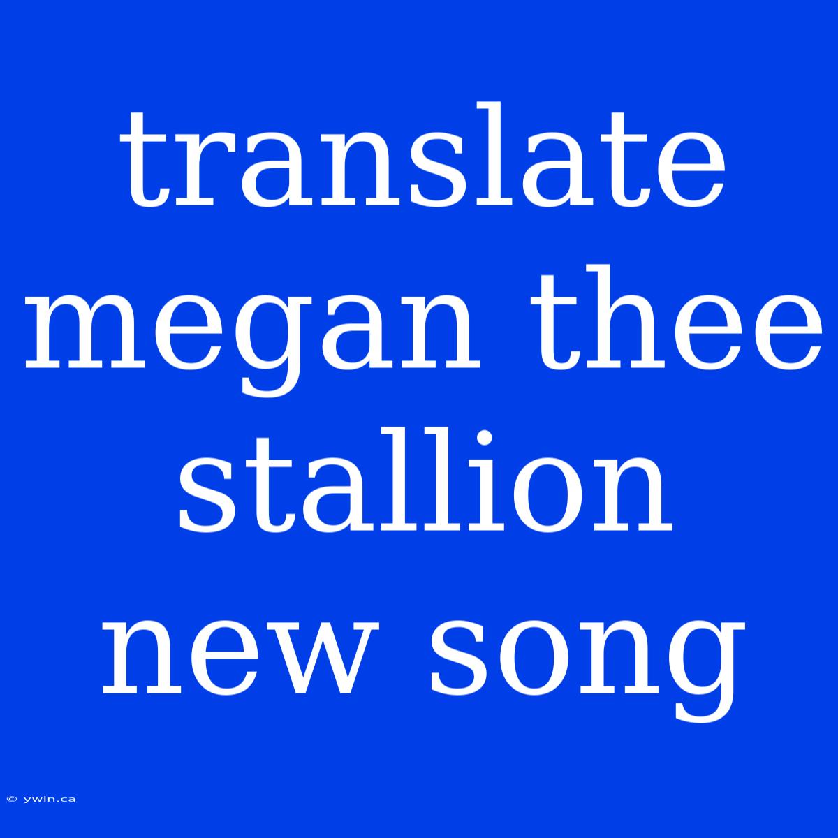 Translate Megan Thee Stallion New Song