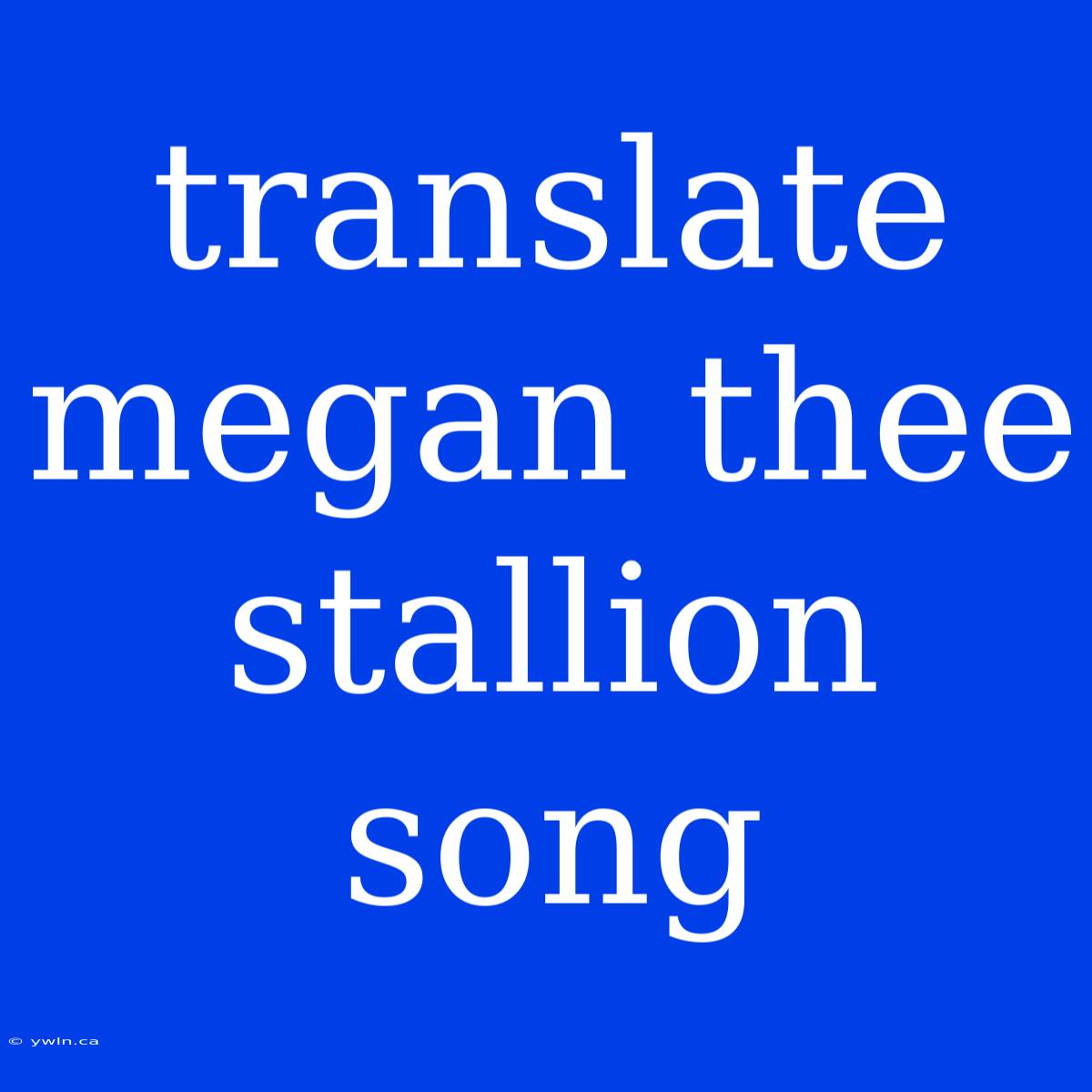 Translate Megan Thee Stallion Song