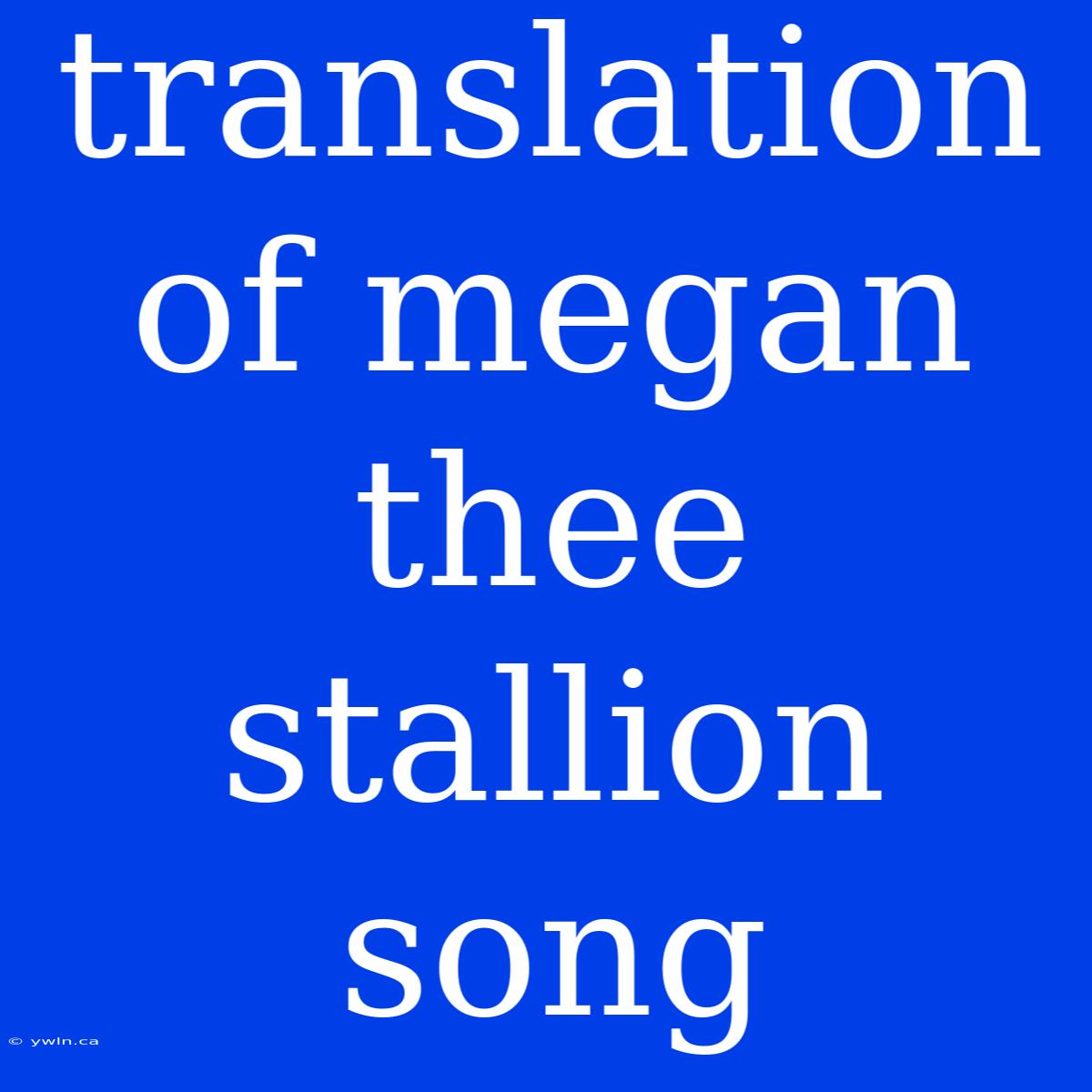 Translation Of Megan Thee Stallion Song