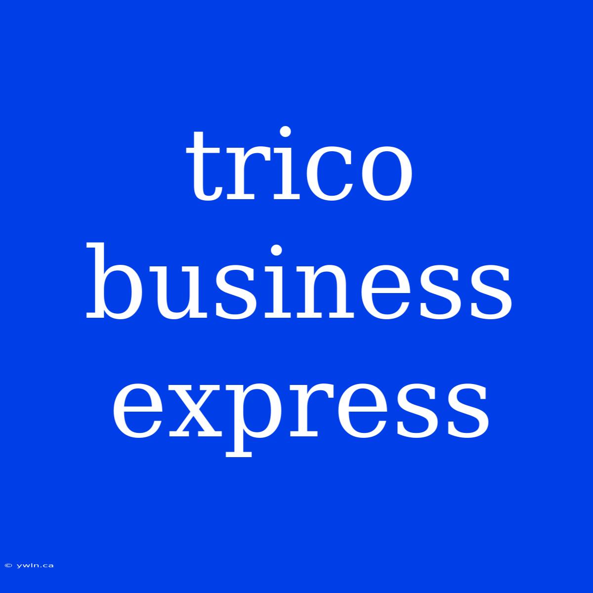 Trico Business Express