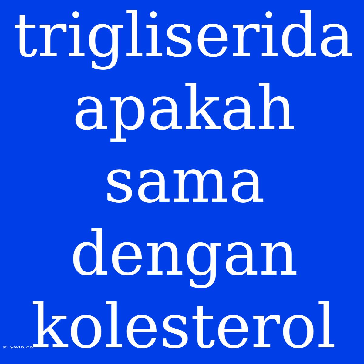 Trigliserida Apakah Sama Dengan Kolesterol