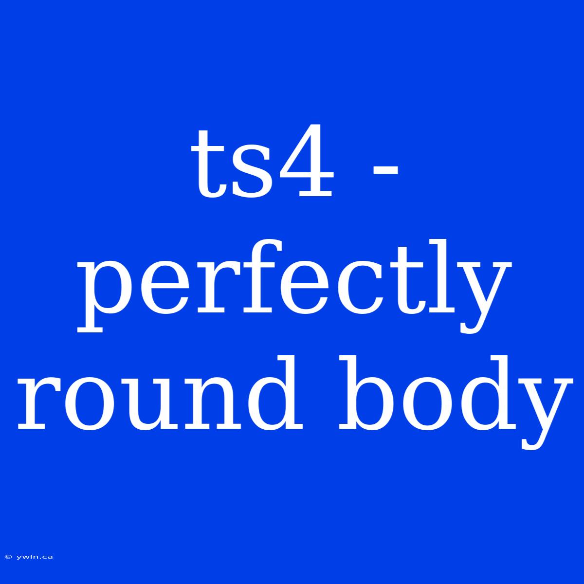 Ts4 - Perfectly Round Body