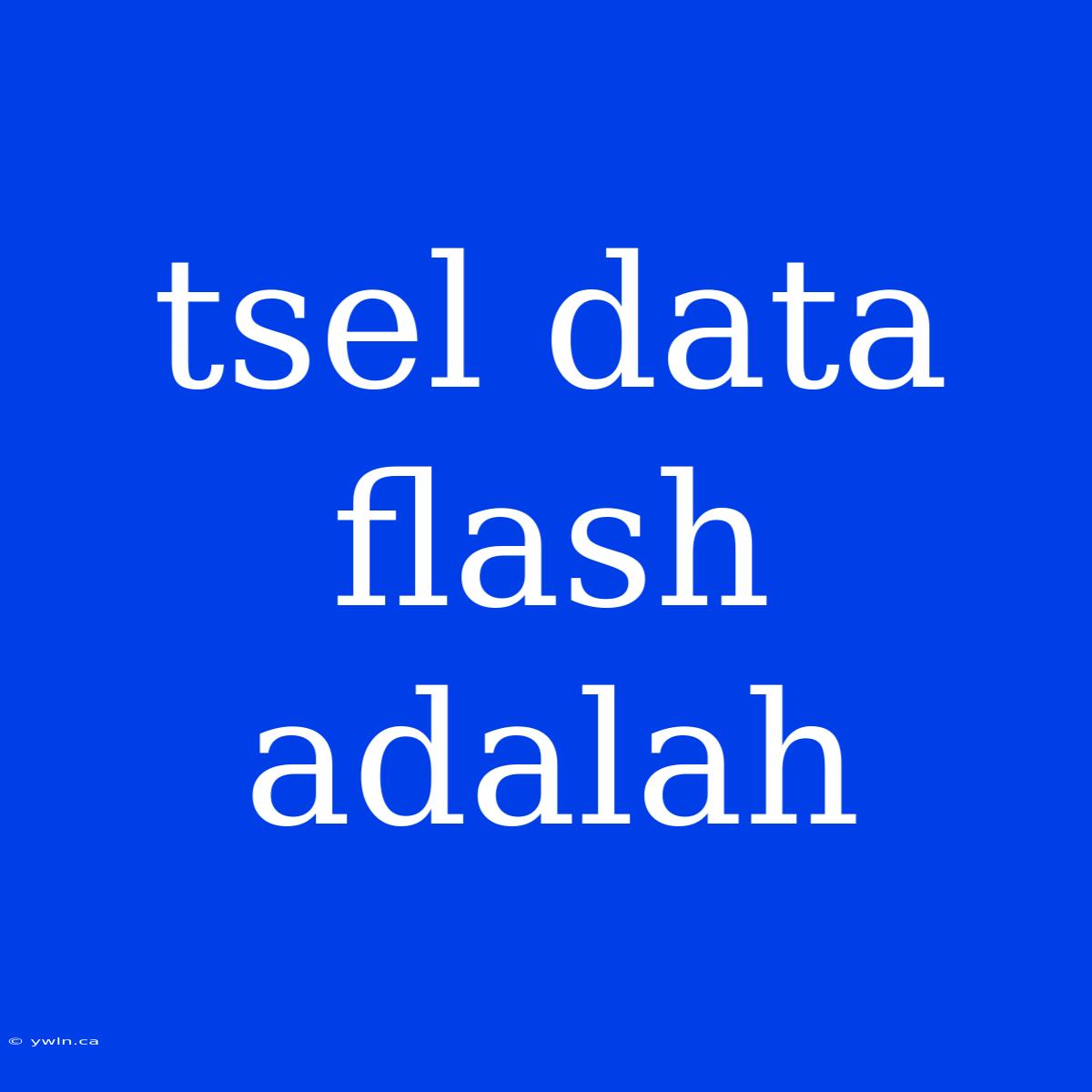 Tsel Data Flash Adalah