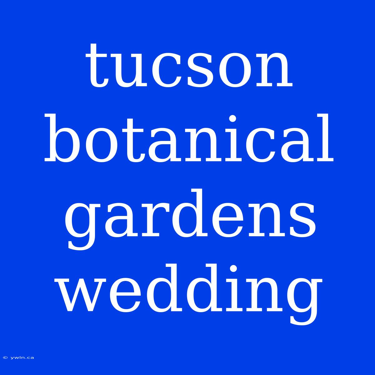 Tucson Botanical Gardens Wedding