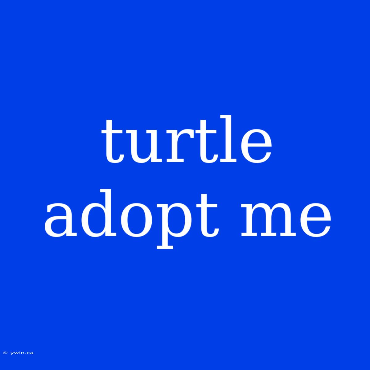 Turtle Adopt Me