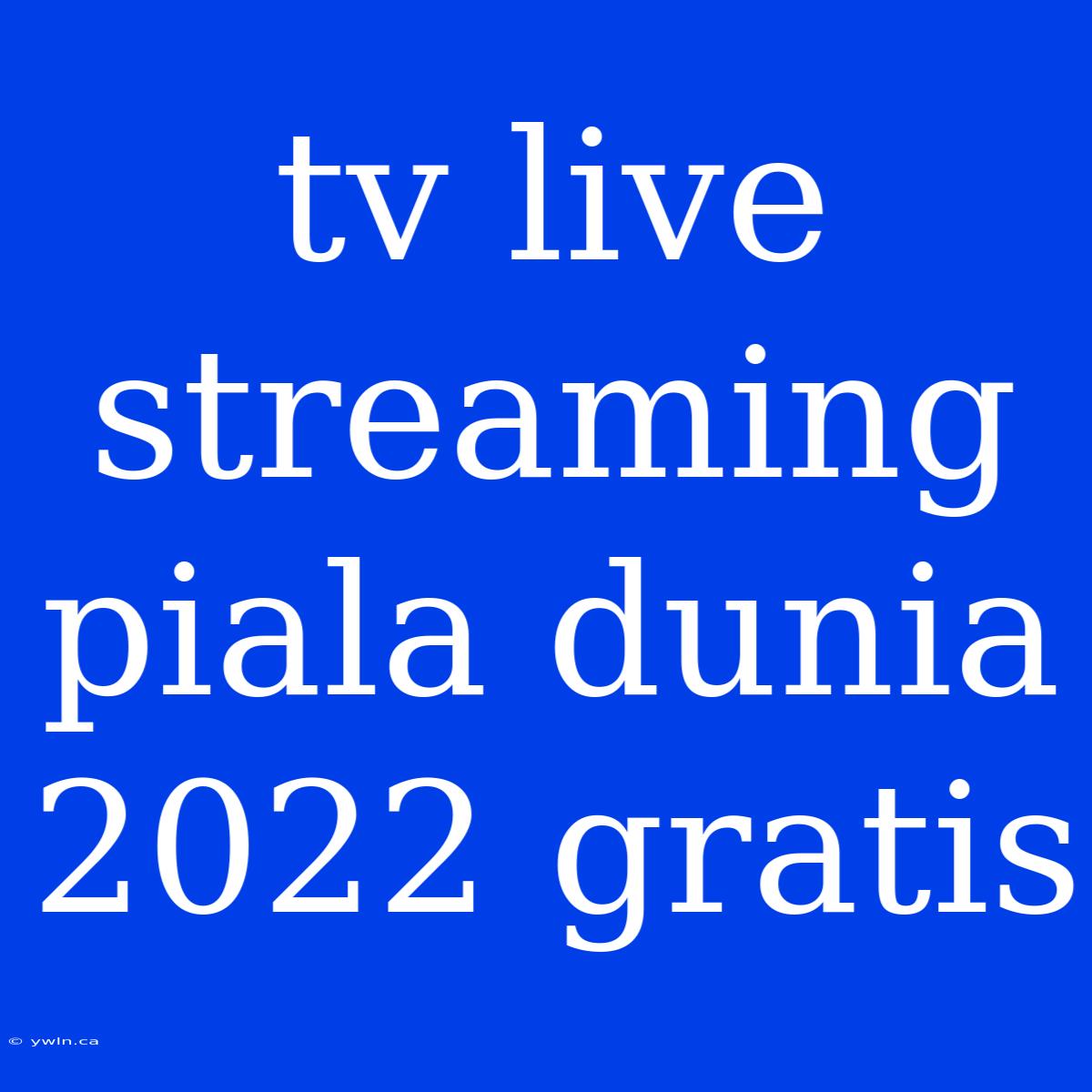 Tv Live Streaming Piala Dunia 2022 Gratis