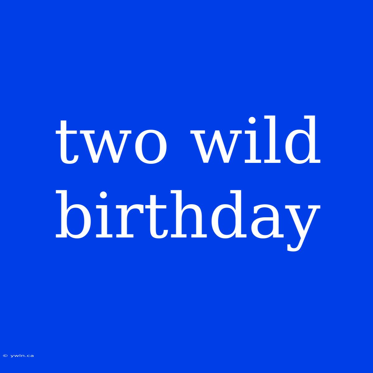 Two Wild Birthday