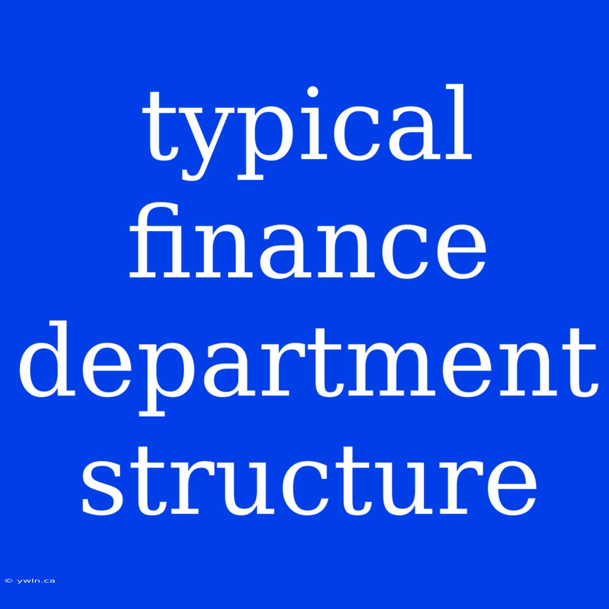 Typical Finance Department Structure