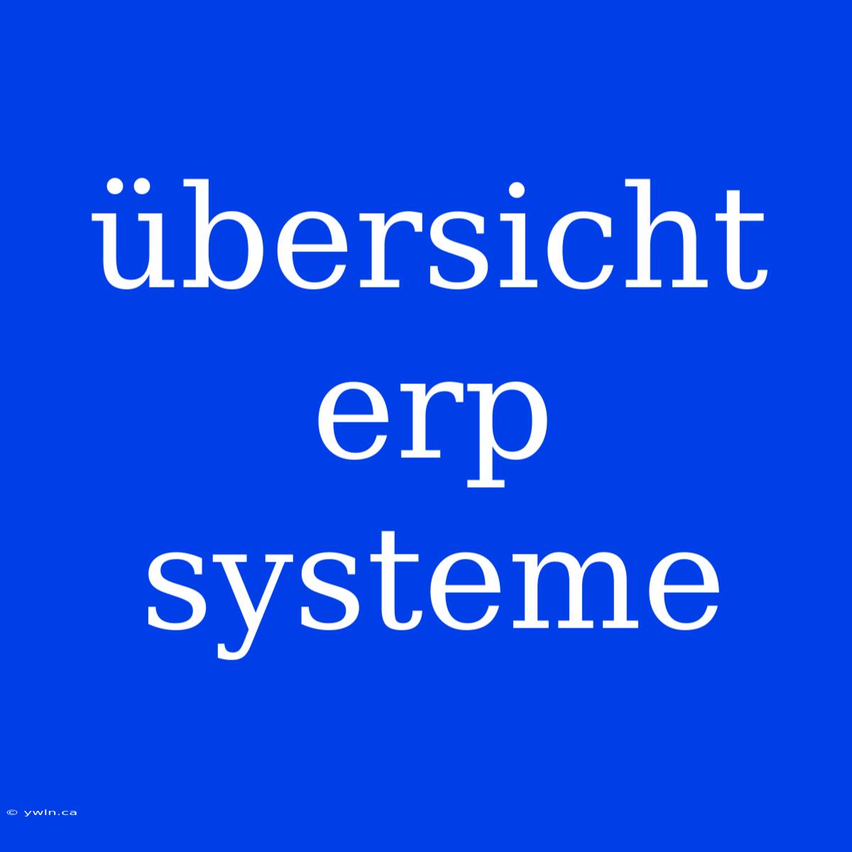 Übersicht Erp Systeme