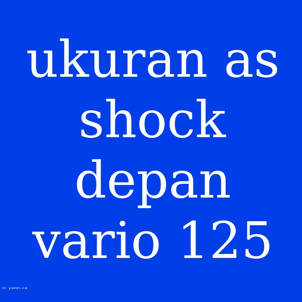 Ukuran As Shock Depan Vario 125