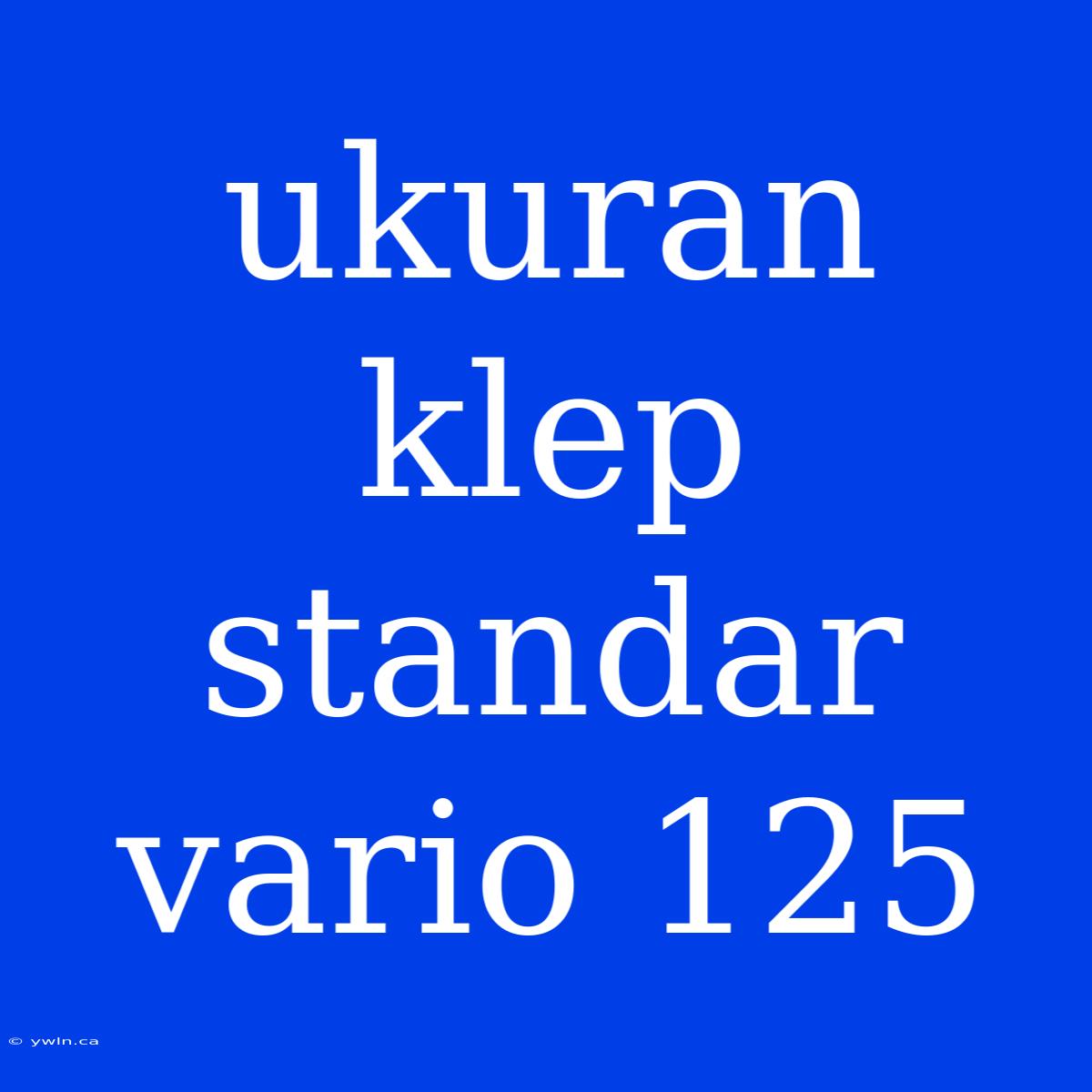 Ukuran Klep Standar Vario 125