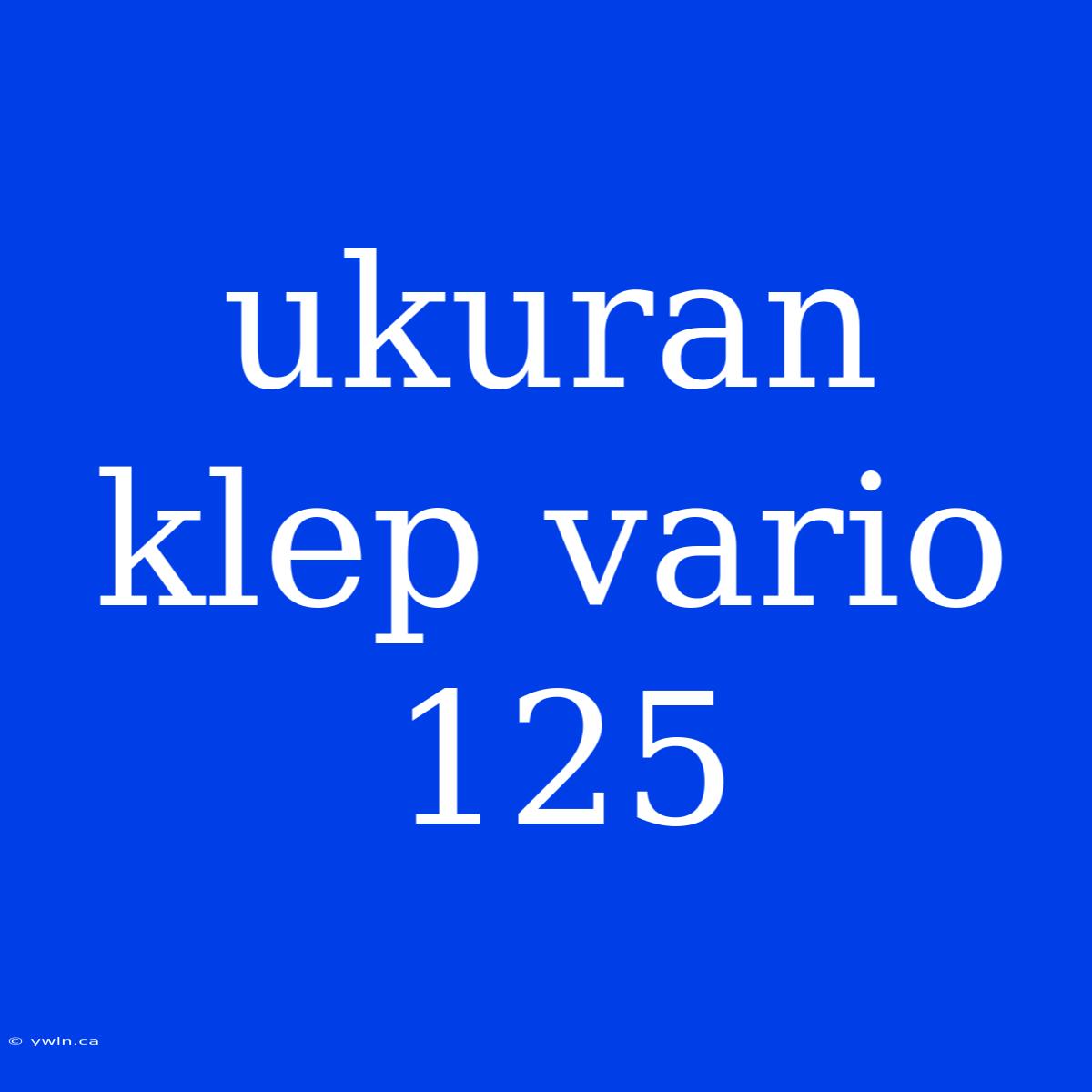 Ukuran Klep Vario 125