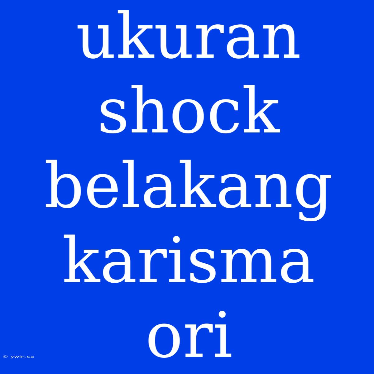 Ukuran Shock Belakang Karisma Ori