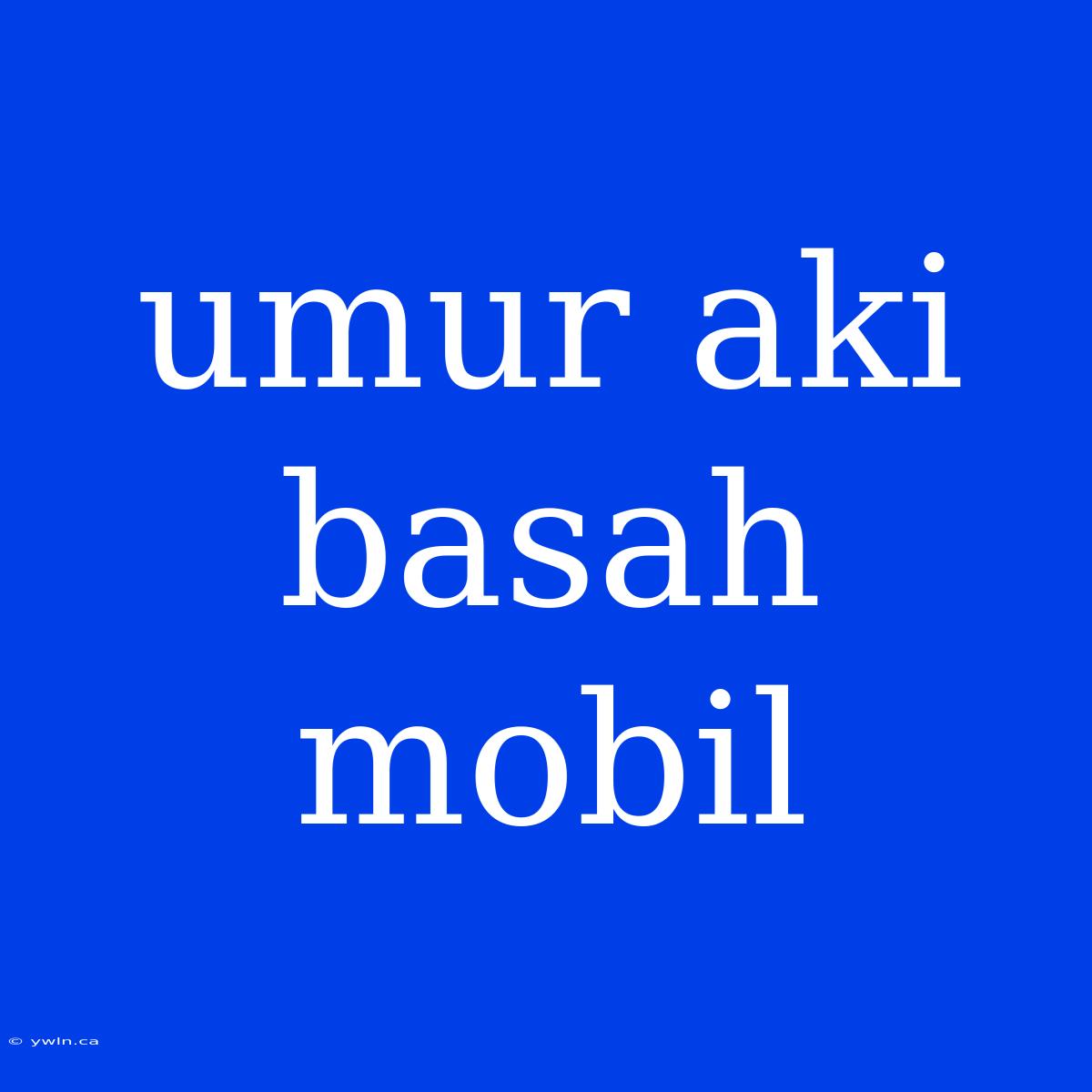 Umur Aki Basah Mobil