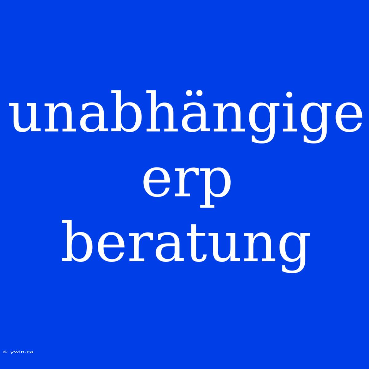 Unabhängige Erp Beratung