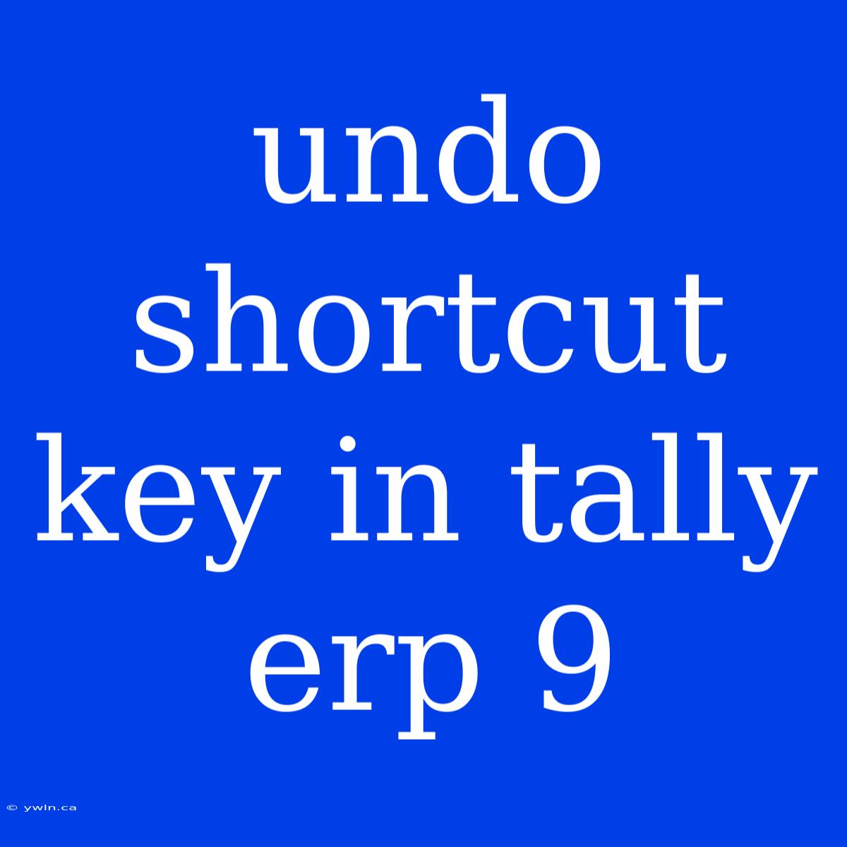 Undo Shortcut Key In Tally Erp 9