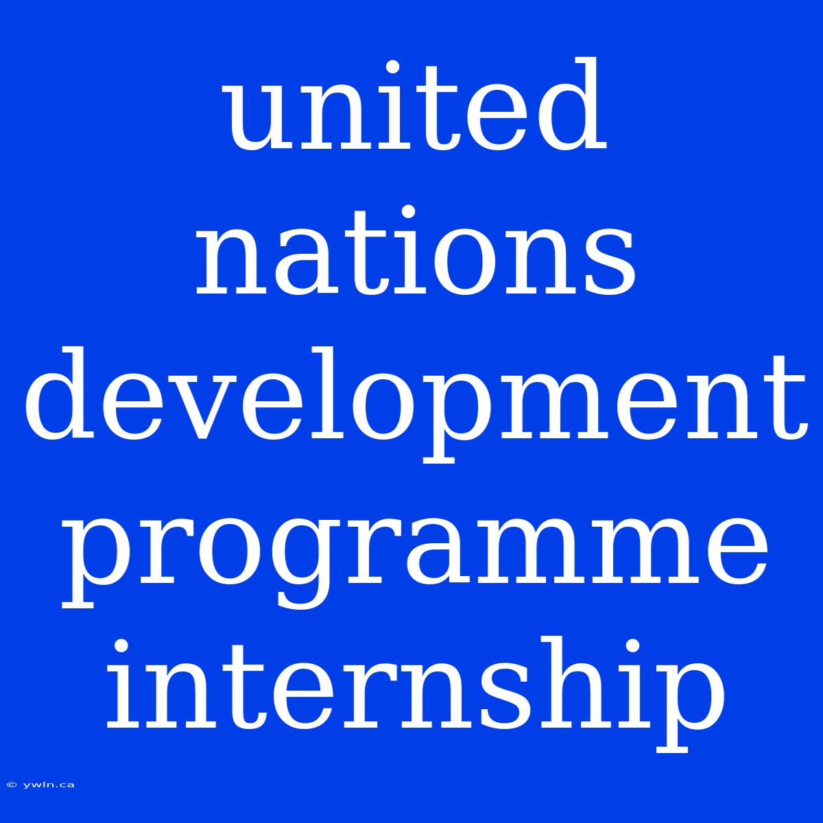 United Nations Development Programme Internship