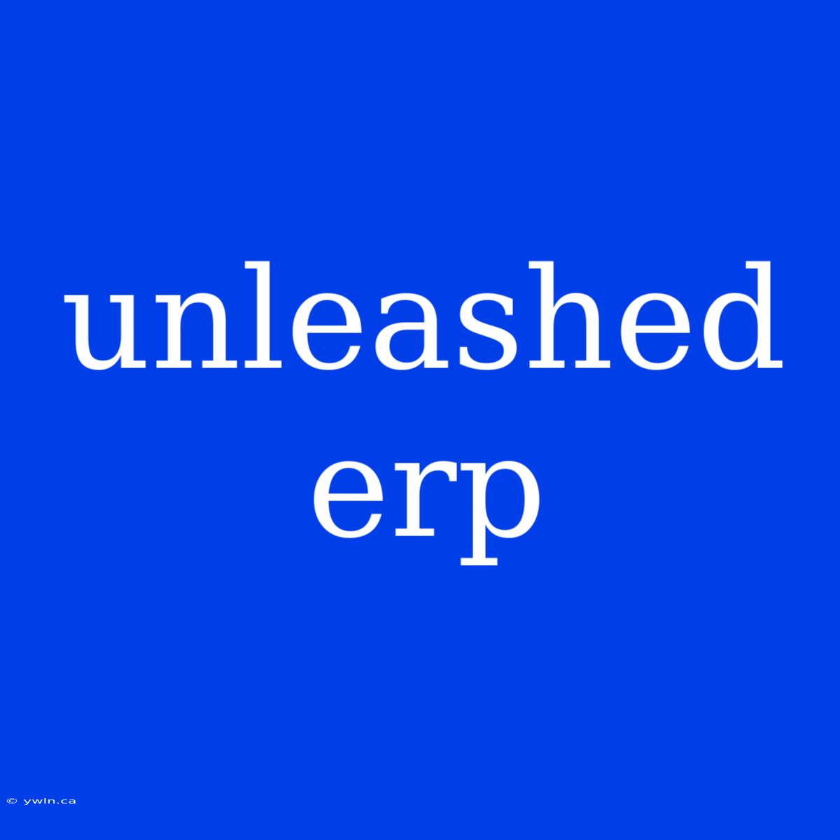 Unleashed Erp