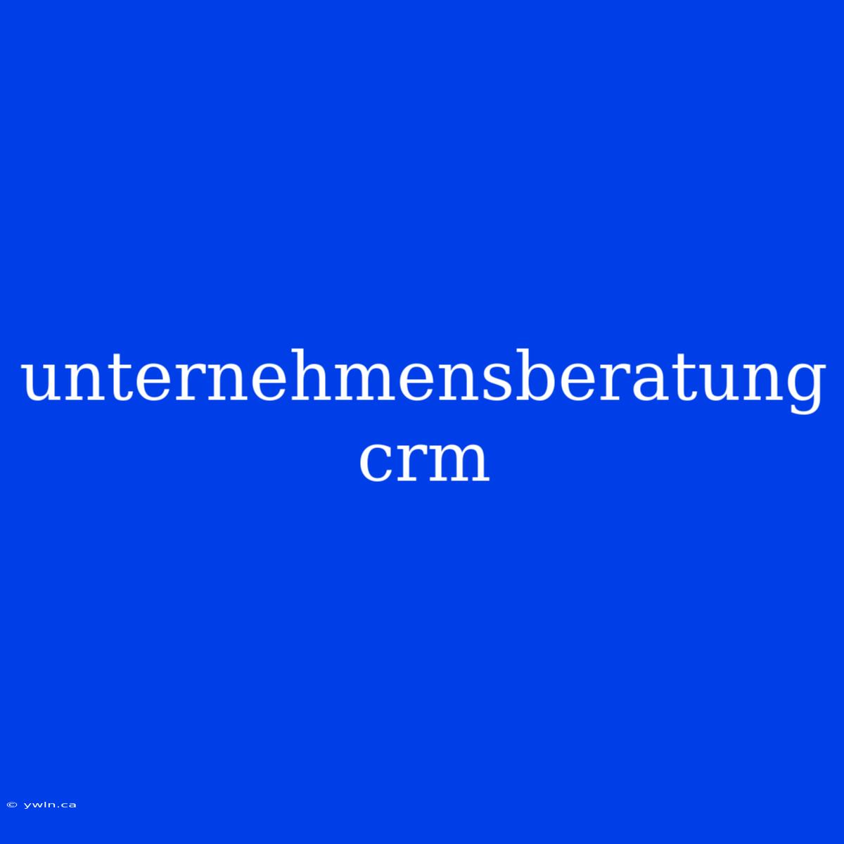 Unternehmensberatung Crm