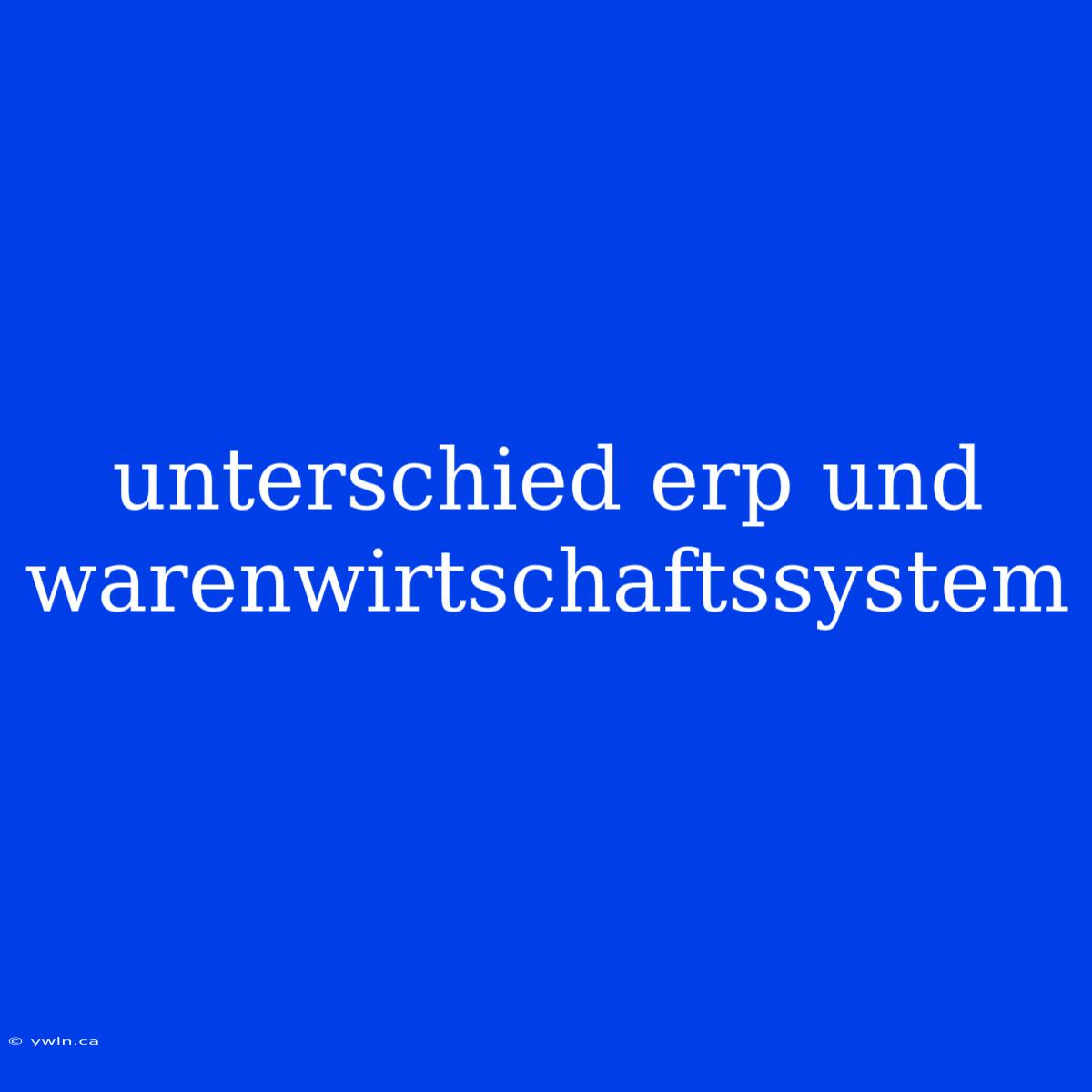 Unterschied Erp Und Warenwirtschaftssystem