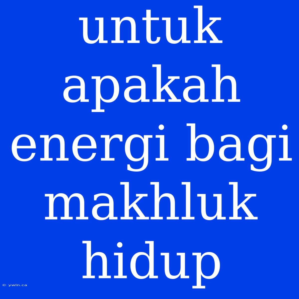 Untuk Apakah Energi Bagi Makhluk Hidup