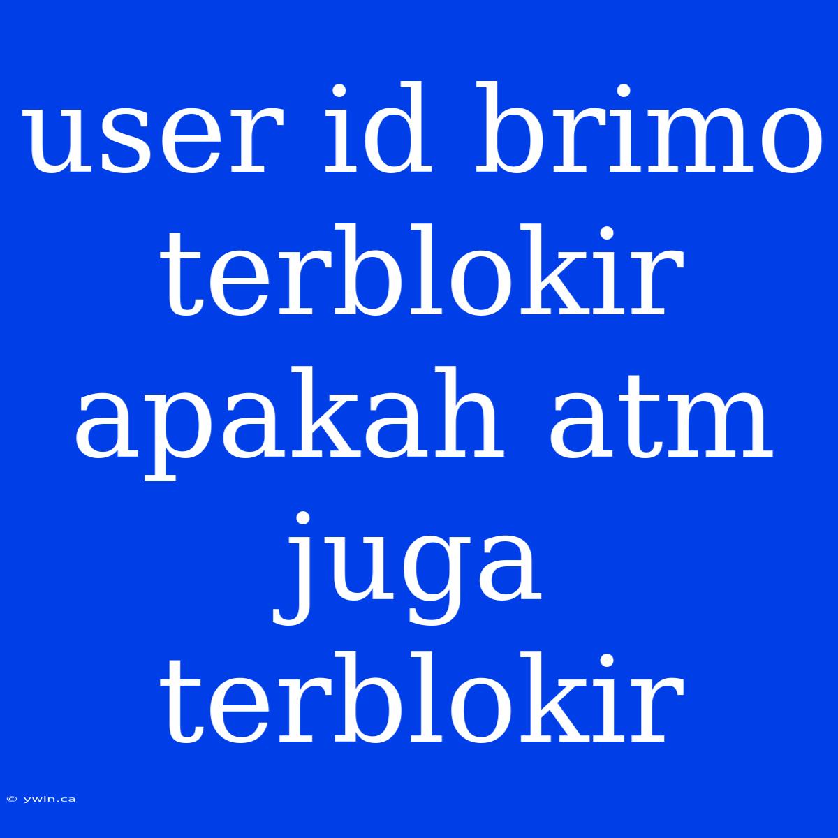 User Id Brimo Terblokir Apakah Atm Juga Terblokir