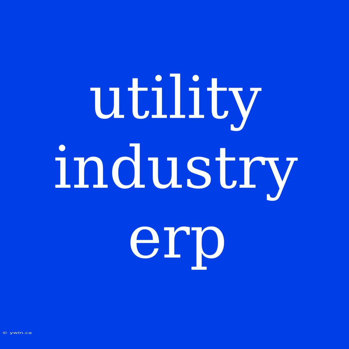 Utility Industry Erp