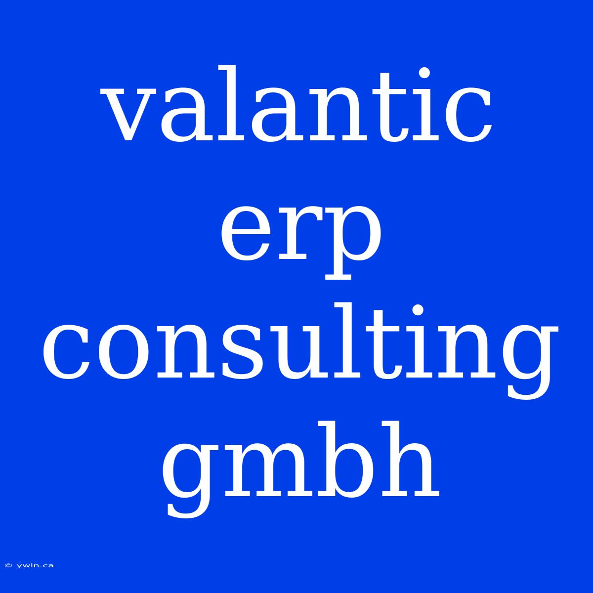 Valantic Erp Consulting Gmbh