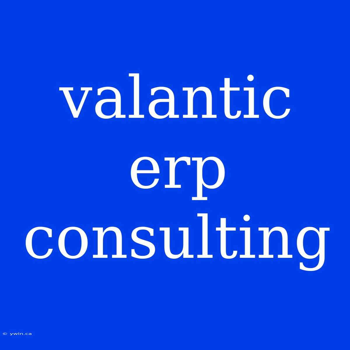 Valantic Erp Consulting