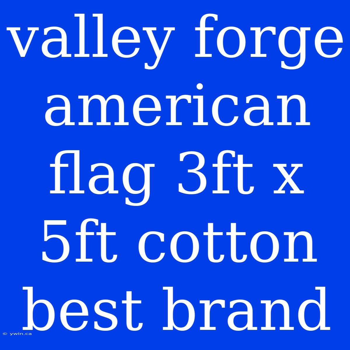 Valley Forge American Flag 3ft X 5ft Cotton Best Brand